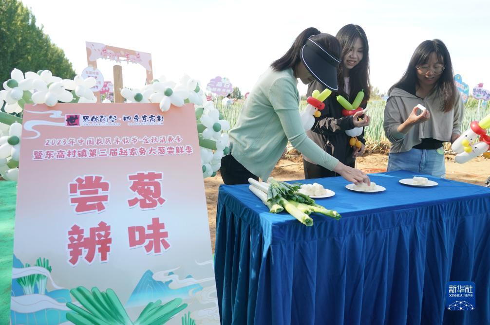 水果机怎么打好下分